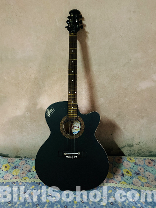 Signature guitar fully fresh condition like new